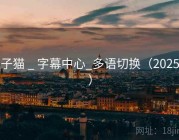 柚子猫 _ 字幕中心_多语切换（2025版）