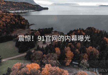 震惊!91官网的内幕曝光 震惊!91官网的内幕曝光