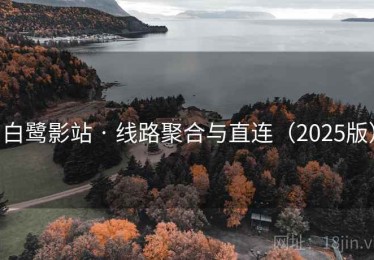 白鹭影站 · 线路聚合与直连(2025版) 白鹭影站 · 线路聚合与直连(2025版)