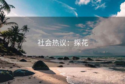 社会热议：探花