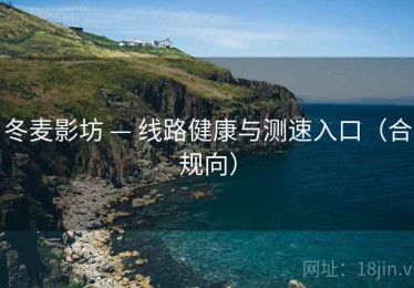 冬麦影坊 — 线路健康与测速入口(合规向) 冬麦影坊 — 线路健康与测速入口(合规向)