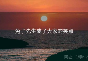 兔子先生成了大家的笑点 兔子先生成了大家的笑点