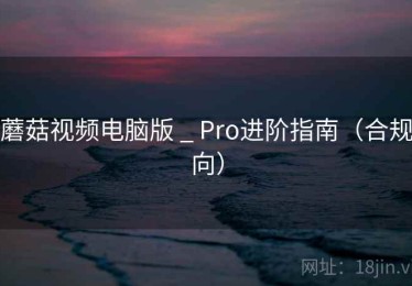 蘑菇视频电脑版 _ Pro进阶指南(合规向) 蘑菇视频电脑版 _ Pro进阶指南(合规向)