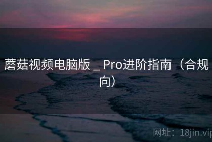 蘑菇视频电脑版 _ Pro进阶指南（合规向）