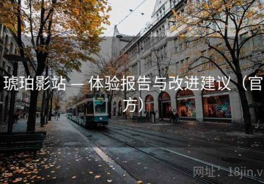 琥珀影站 — 体验报告与改进建议(官方) 琥珀影站 — 体验报告与改进建议(官方)