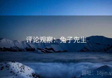 评论观察:兔子先生 评论观察:兔子先生