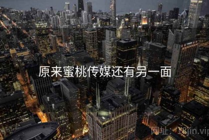 原来蜜桃传媒还有另一面