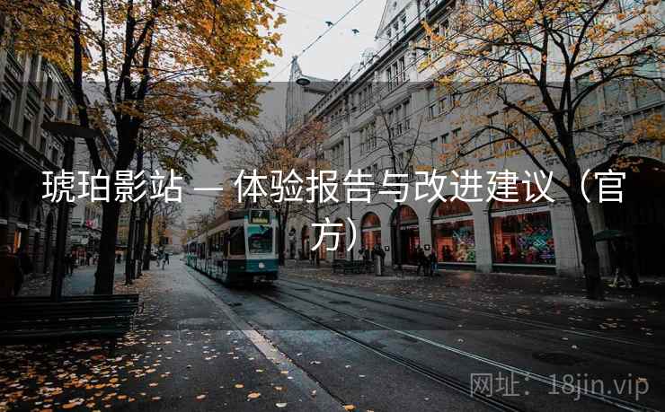 琥珀影站 — 体验报告与改进建议(官方) 琥珀影站 — 体验报告与改进建议(官方)