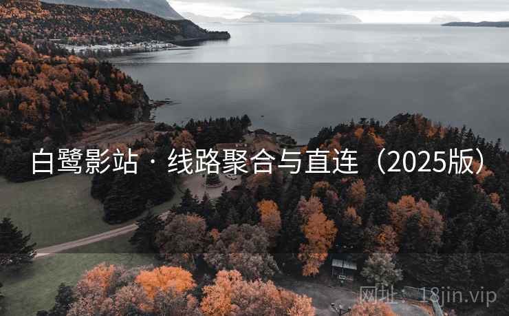 白鹭影站 · 线路聚合与直连(2025版) 白鹭影站 · 线路聚合与直连(2025版)