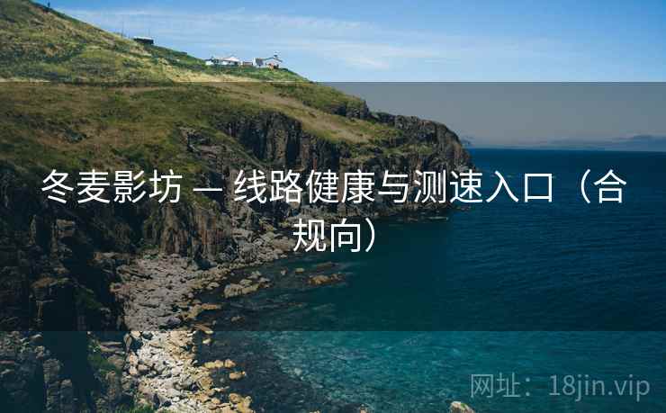 冬麦影坊 — 线路健康与测速入口(合规向) 冬麦影坊 — 线路健康与测速入口(合规向)