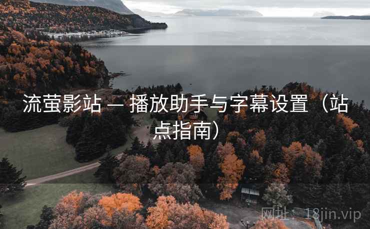 流萤影站 — 播放助手与字幕设置(站点指南) 流萤影站 — 播放助手与字幕设置(站点指南)